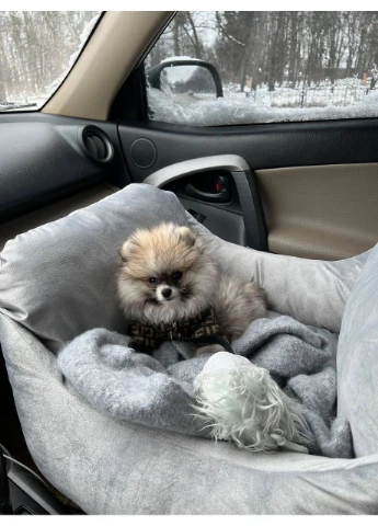 Автокрісло автогамак лежак сумка-переноска для собак та котів плюш 40х52х52 см Сірий Incor (401643266)