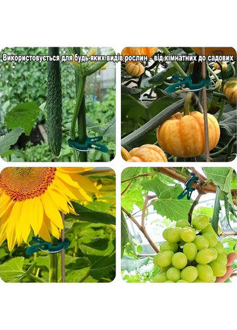 Клипсы-фиксаторы садовые большие для подвязки и фиксации растений и томатов 6х5см 20шт No Brand (370287174)