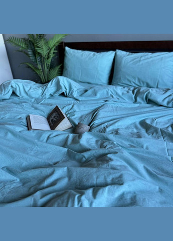 Постельное белье хлопок Евро 200х215 наволочка 70х70 2шт Голубой (П4post-var-bavovna-007-03) No Brand (316230663)