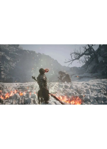 Гра консольна PS5 Black Myth: Wukong, BD диск Sony (362731896)