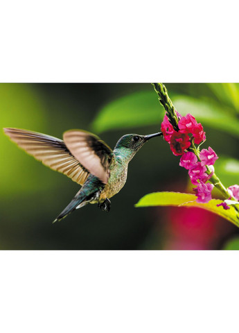 Календарь 2026 Колибри Apriori (361433095)