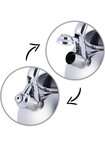 Чайник из нержавеющей стали 2.8л со свистком и стеклянной крышкой для кипячения воды чайник для чая Kamille (368980614)