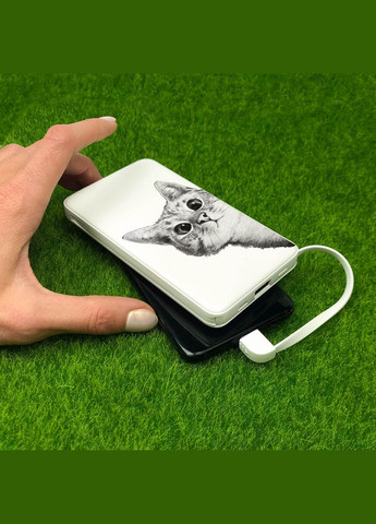 Повербанк Ей, Кіт 10000мАг Ziz 45055 (341318811)