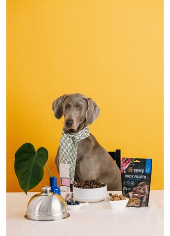 Ласощі для собак Джерки філе індички з качкою 100 г Savory (353685649)