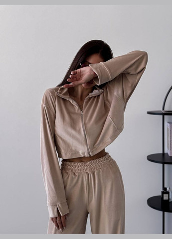 Костюм жіночий плюшевий велюр No Brand (315389407)