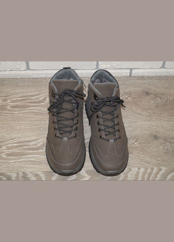Чоловічі зимові черевики сірі Hongquan (282620169)