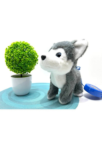 Собачка интерактивная Хаски пульт-поводок музыка звук песни ходит виляет хвостом 22см (M 6196 I UA) No Brand (361854822)