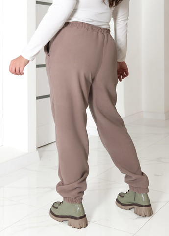 Спортивні штани джогери жіночі з флісу Polar No Brand (368541075)