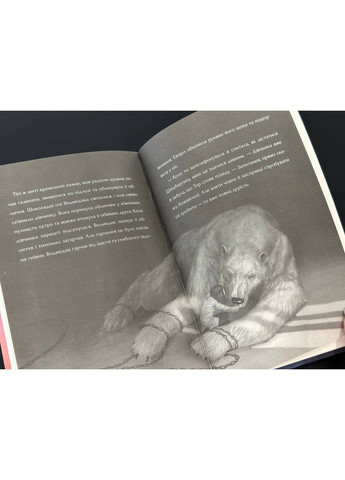 Книга "Последний медведь" Ханна Голд Читариум (297214587)