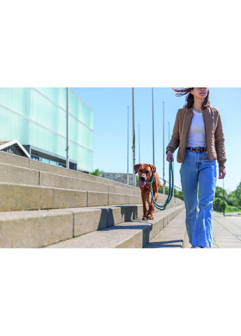 Поводок Cavo для собак регулируемый S–M 2 м диаметр 12 мм аква-графит Trixie (372504075)