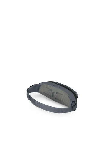 Поясна сумка Daylite Waist Earth Osprey (354698021)