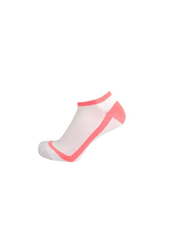 Набір (2 шт) жіночих шкарпеток у сіточку Duna 1013 (280820433)