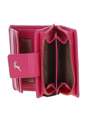 Гаманець Ashwood (338378786)