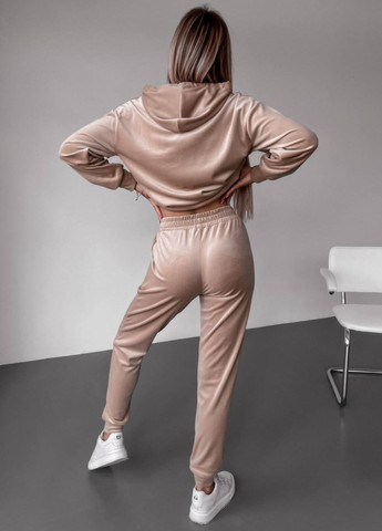 Базовый повседневный велюровый костюм двойка: худые с капюшоном и карманом кенгуру + джоггеры высокой посадки Tik-Tak (324389203)