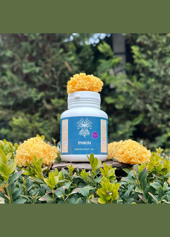 Тремелла, экстракт 10:1, капсулы 120 шт по 0.4 г Лісовик (334292996)