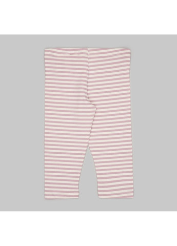 Легінси H&M (366280896)