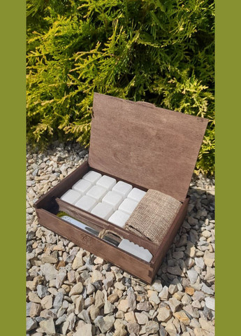 Набір каменів сапфіровий 20*20 мм 12 шт для охолодження віскі в дерев'яній коробці (SoapStone-White-12) Гранд Презент (302803055)