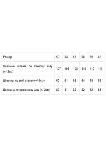Штани чоловічі (p-2647) Носи своє (317326842)