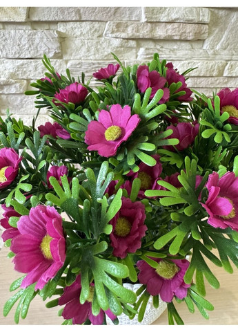 Букет малинової ромашки в горщику 30 см. Пластмакс (372838133)