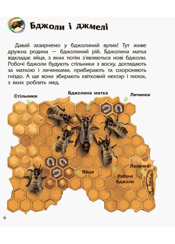 Дитяча енциклопедія про комах для дошкільнят 614014 Ranok Creative (392088655)
