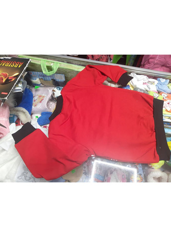 Свитшот детский Новогодний family look для мальчика 92 98 104 110 116 No Brand (366080098)