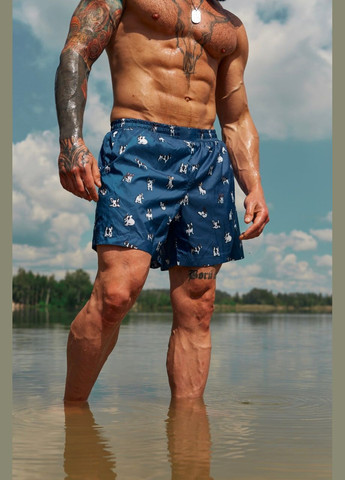 Шорты пляжные мужские No Brand шорти (297545250)