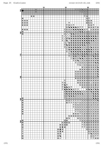 Гладиолусы_1 Joy Sunday (314923143)