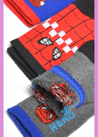 Набір дитячих шкарпеток махрових для хлопчика 3 штуки Let's Shop (304501485)