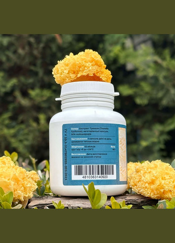 Тремелла, экстракт 10:1, капсулы 120 шт по 0.4 г Лісовик (334292996)