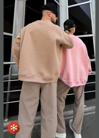 Бежевий чоловічий утеплений світшот бежевого кольору Reload однотонний (327369276)