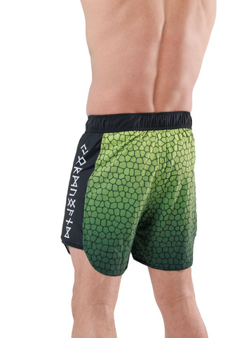 Шорти Hybrid Jörmungandr green (013242) Berserk Sport (292631901)