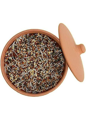 Глиняные горшки для проращивания Toni Clay Sprouter Hawos (305325592)