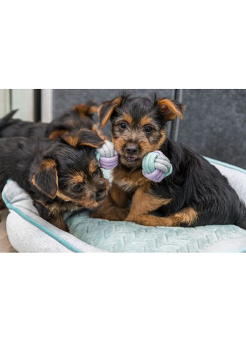 Іграшка Junior Rope Dumbbell для цуценят Гантель з канатом котон 15 см Trixie (362702043)