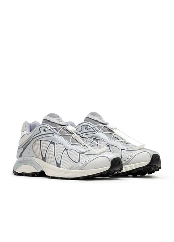 Цветные демисезонные кроссовки xt-whisper beige/grey l47801400 Salomon