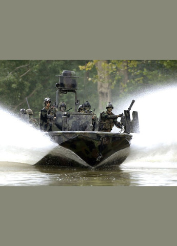 Очки защитные стрелковые CDI MAX Black ESS (315878091)