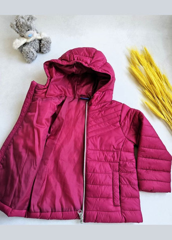 Бордова демісезонна куртка демісезонна з капюшоном Lupilu Куртка