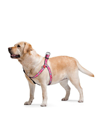Шлея для собак анатомічна Nylon "Єдинороги" пластиковий фастекс, Ш 20 мм, Д 5080 см WAUDOG (279567881)