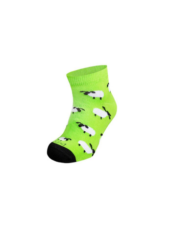 Шкарпетки дитячі Duna 4062 (264656941)