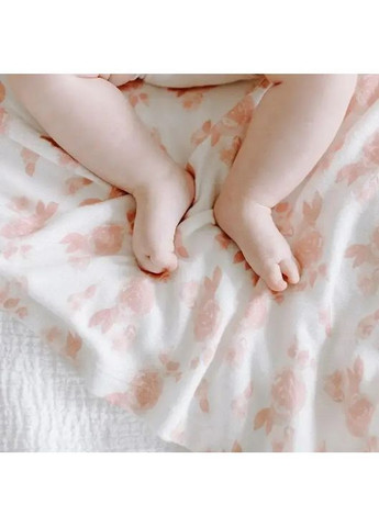 Подарочный набор Rosettes, пеленка и шапочка, розовый () Aden + Anais AA20001 (366471686)