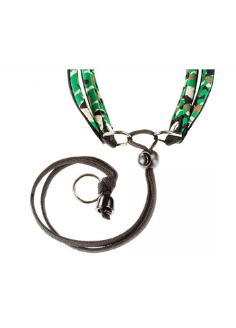 Шлея для собак Agila Fantasy 3 XXS зелена A=B 42-50 см 75576431 Ferplast (269341663)