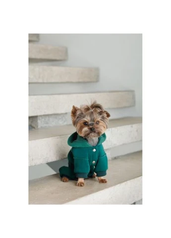 Костюм Berry для собак розмір (*) Pet Fashion (324835493)