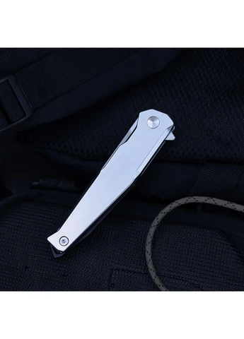 Ніж складаний P108-SF Ruike (361148940)