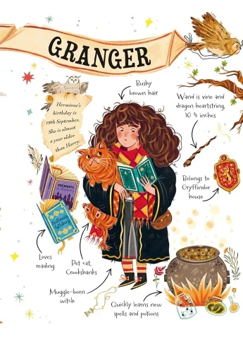 Pocket Potters: Hermione Granger Bloomsbury (370608539)