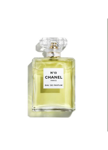 Парфюмерная вода женская Chanel N19 Женские духи 100мл No Brand (366734825)