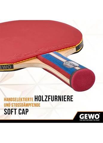 Ракетка для настільного тенісу Standard Pro FL GEWO (367594154)