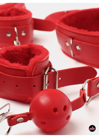 BDSM-комплект красного цвета для ролевых игр из 10 предметов We Love (284279606)