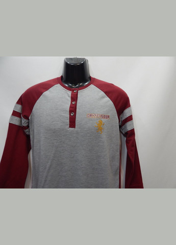 Серый демисезонный деловой лонгслив Harry Potter