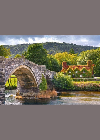 Пазл Поселок в Уэльсе 1000 деталей Castorland (317353674)