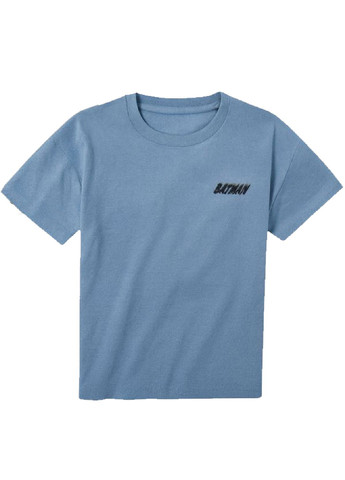 Комбинированная демисезонная хлопковая футболка (2 шт.) Lupilu