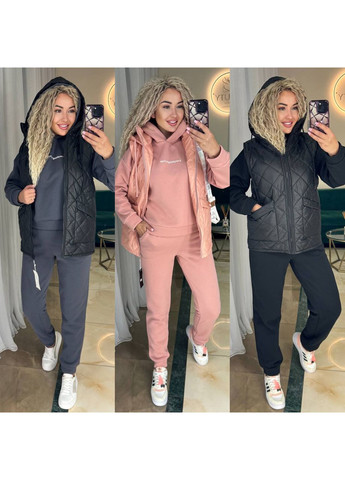 Костюм трійка трьохнитка та плащівка,жилетка,штани та кофта з капюшоном Україна (360542687)